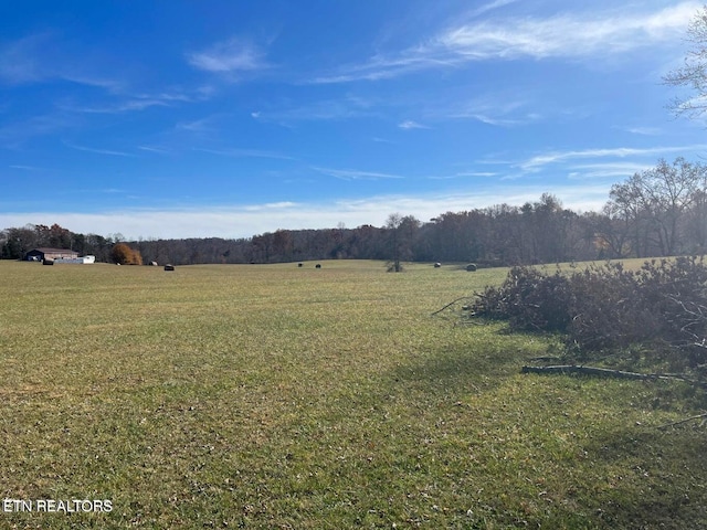 Griffith Rd, Pikeville TN, 37367 land for sale