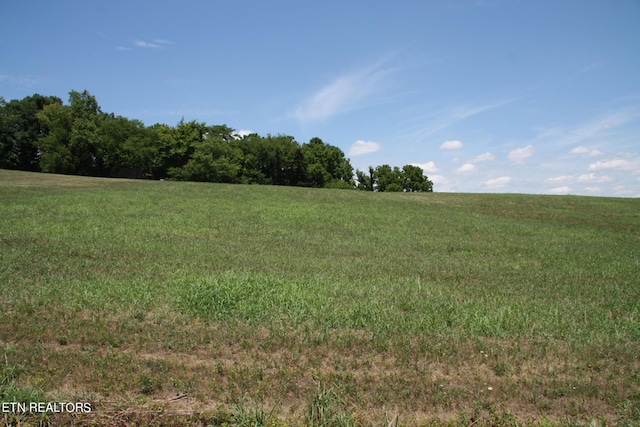 Listing photo 3 for LOT71 River Dr, Blaine TN 37709