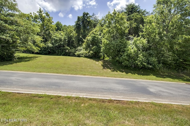 Listing photo 2 for LOT45R Thunder Ridge Dr, Vonore TN 37885