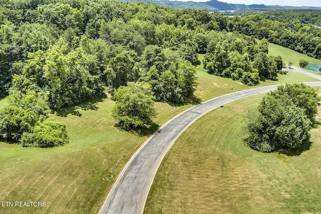 Listing photo 3 for LOT45R Thunder Ridge Dr, Vonore TN 37885