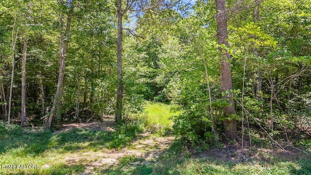 Listing photo 3 for Twin Bridge Rd, Deer Lodge TN 37726