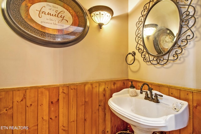 bathroom with wooden walls