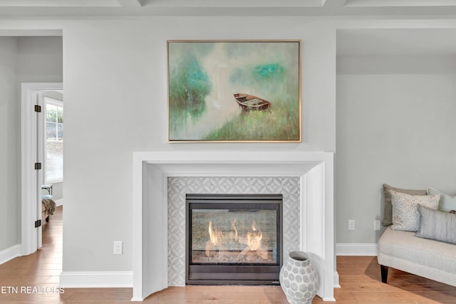 room details featuring hardwood / wood-style floors and a fireplace