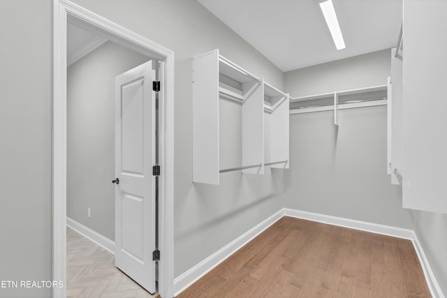 spacious closet featuring light wood-type flooring