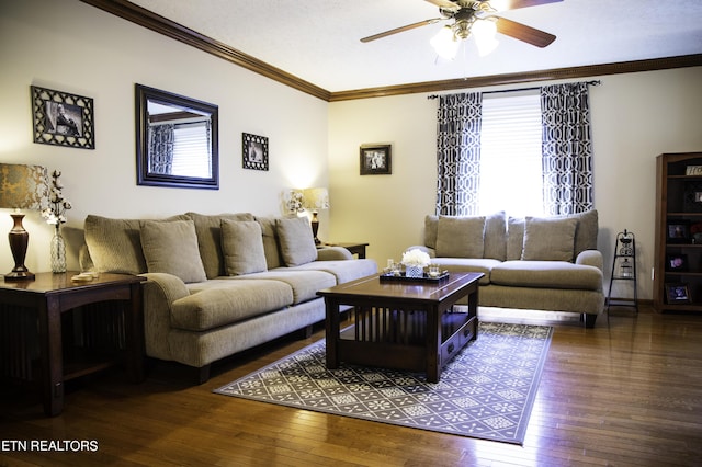 living room featuring dark wood-type flooring, ceiling fan, and ornamental molding