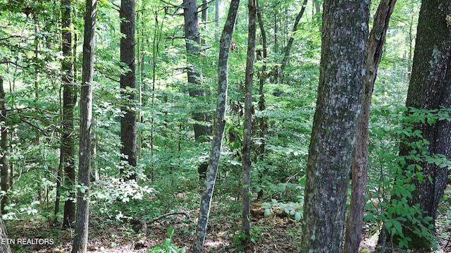 view of landscape