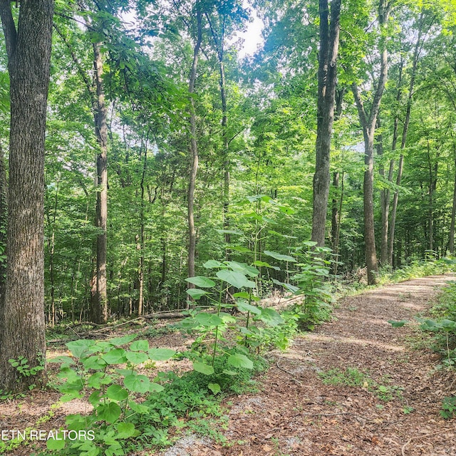 275 Dogwood Ln, Maynardville TN, 37807 land for sale