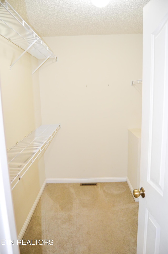 spacious closet featuring carpet floors