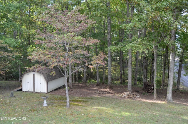 view of yard with a storage unit