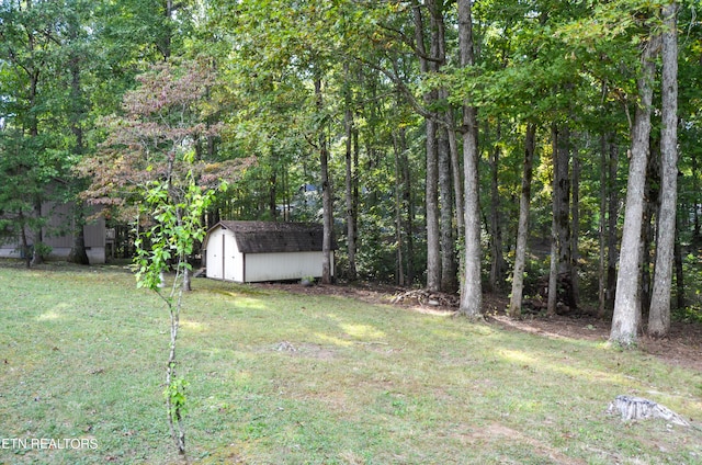 view of yard with a storage unit