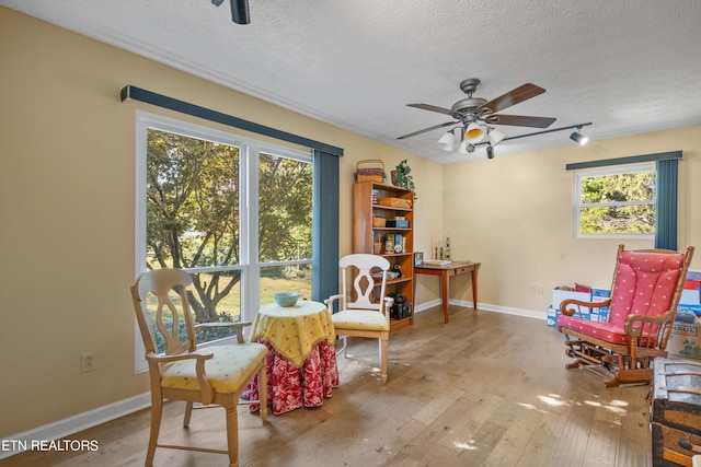 living area featuring light hardwood / wood-style floors, ceiling fan, and a textured ceiling