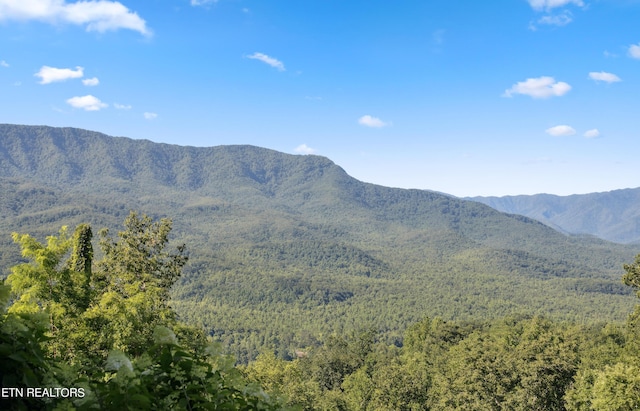 view of mountain feature