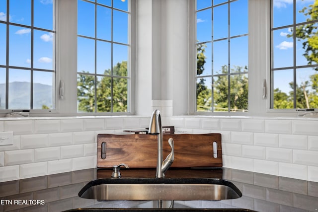 interior details with backsplash and sink