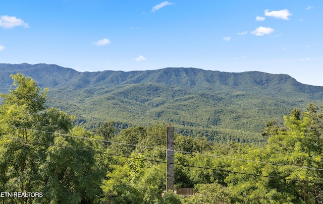 view of mountain feature