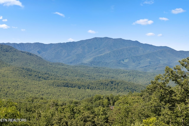 view of mountain feature