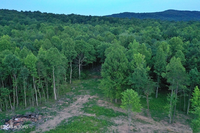 Listing photo 2 for Cordell Mtn Pvt Ln, Winfield TN 37892