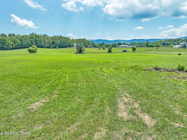 view of yard featuring a rural view