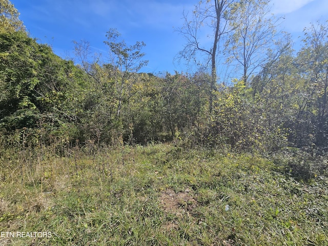 292 Longfield Rd, Rocky Top, TN 37769