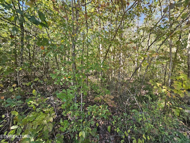 292 Longfield Rd, Rocky Top, TN 37769