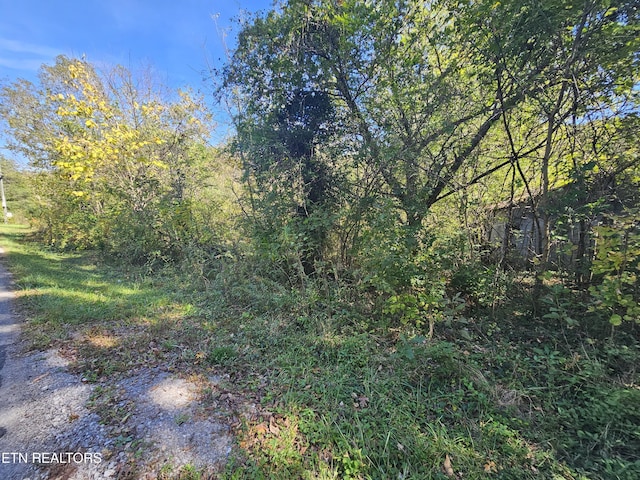 292 Longfield Rd, Rocky Top, TN 37769