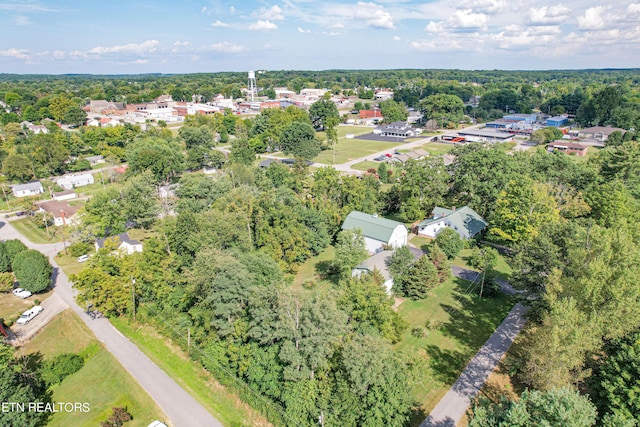 bird's eye view