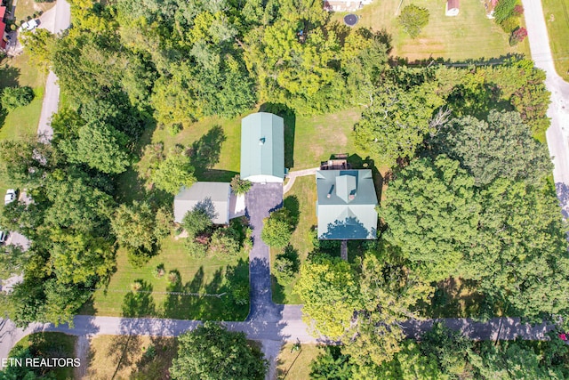 drone / aerial view