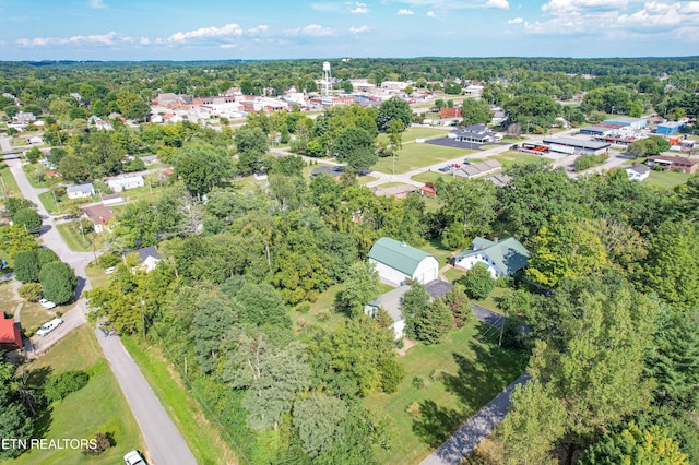 bird's eye view