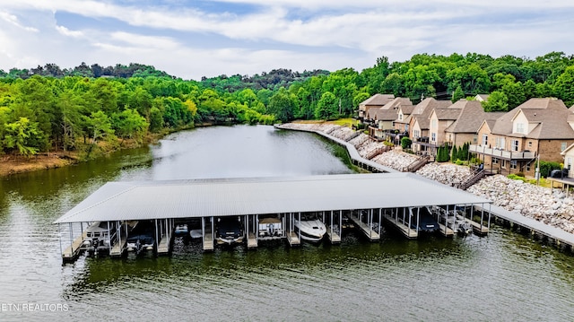 dock area with a water view