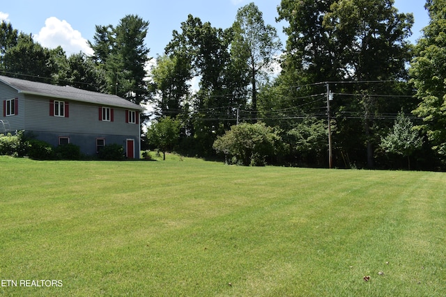 view of yard