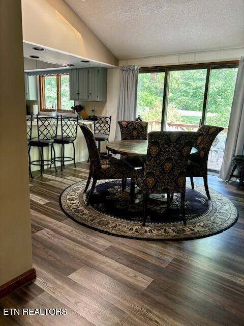 dining room featuring lofted ceiling, a healthy amount of sunlight, a textured ceiling, and hardwood / wood-style floors