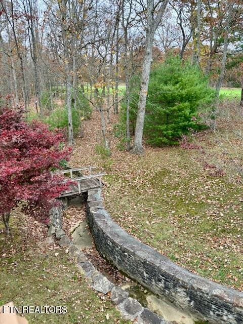 175 Snead Dr, Crossville, TN 38558 - view of yard