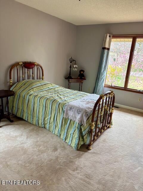 175 Snead Dr, Crossville, TN 38558 - bedroom with carpet flooring, a textured ceiling, and baseboards