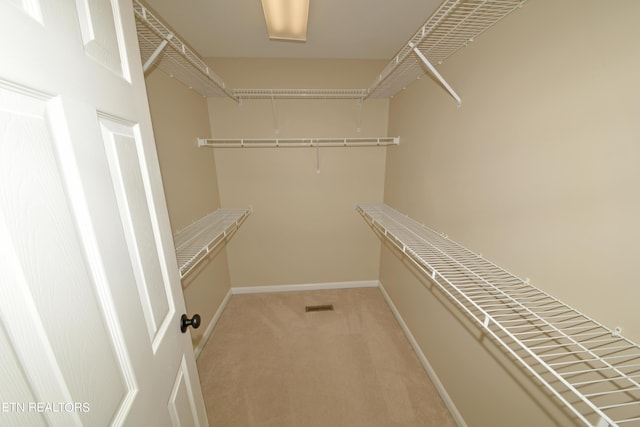 spacious closet featuring light colored carpet