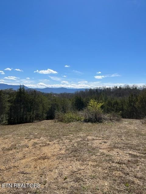 Kinder Ln, Dandridge TN, 37725 land for sale