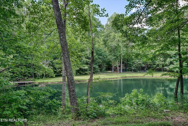 1001 Snicktaw Pl, Monterey, TN 38574 - photo 8