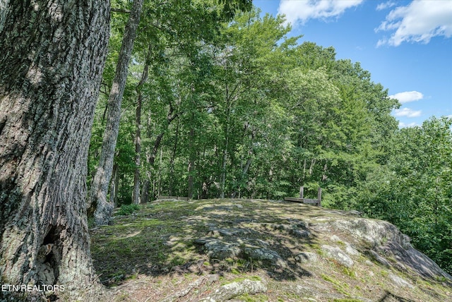 1001 Snicktaw Pl, Monterey, TN 38574 - photo 19