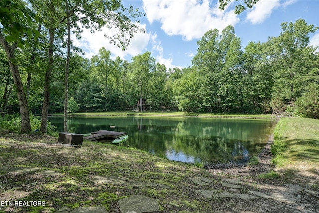 1001 Snicktaw Pl, Monterey, TN 38574 - photo 20