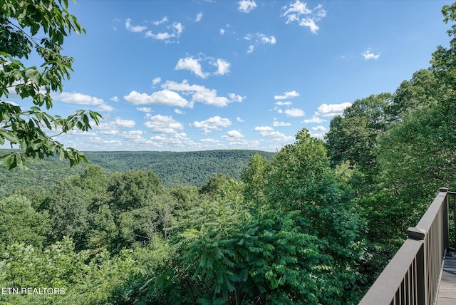 1001 Snicktaw Pl, Monterey, TN 38574 - photo 45