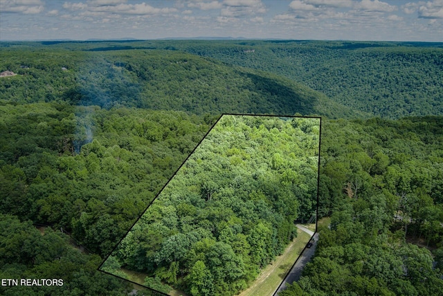 1001 Snicktaw Pl, Monterey, TN 38574 - photo 4