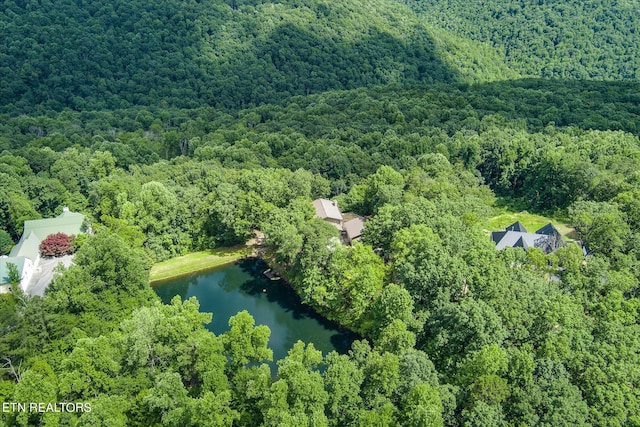 1001 Snicktaw Pl, Monterey, TN 38574 - photo 12