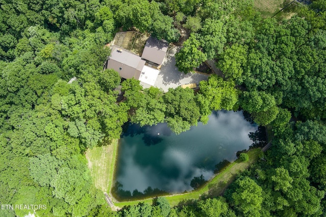 1001 Snicktaw Pl, Monterey, TN 38574 - photo 11