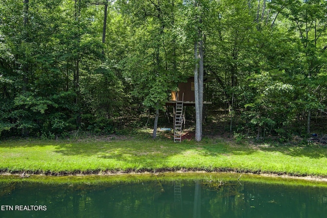 1001 Snicktaw Pl, Monterey, TN 38574 - photo 50