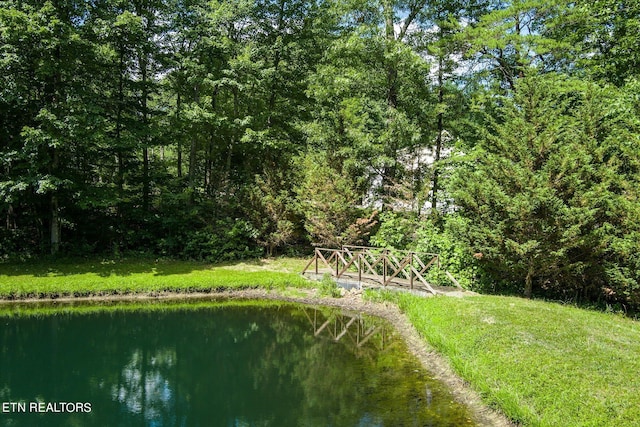 1001 Snicktaw Pl, Monterey, TN 38574 - photo 51