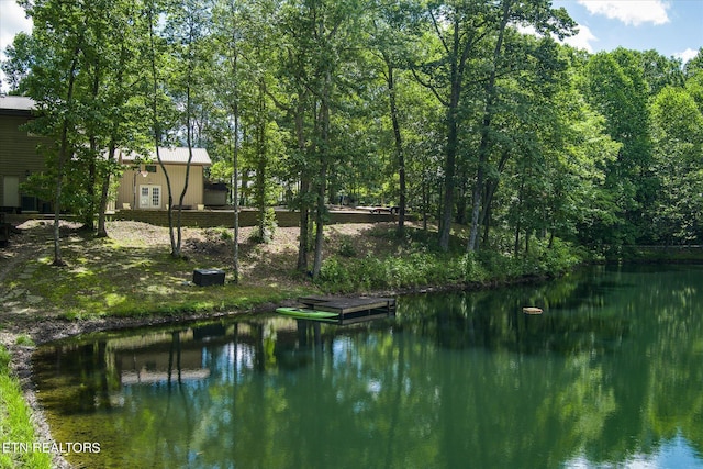 1001 Snicktaw Pl, Monterey, TN 38574 - photo 52