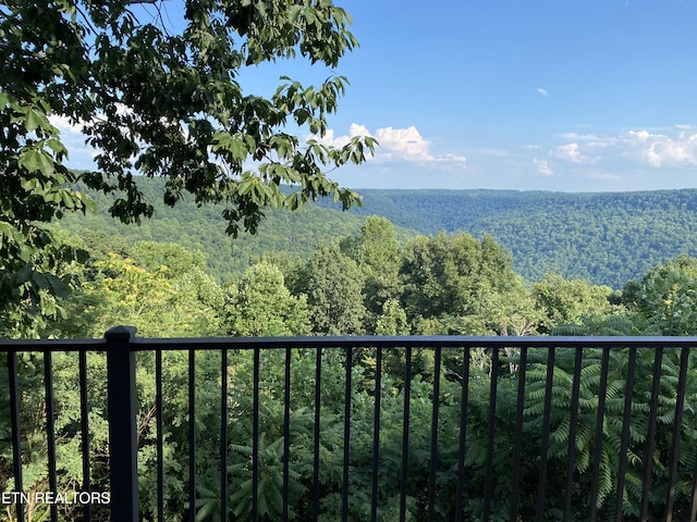 1001 Snicktaw Pl, Monterey, TN 38574 - photo 53