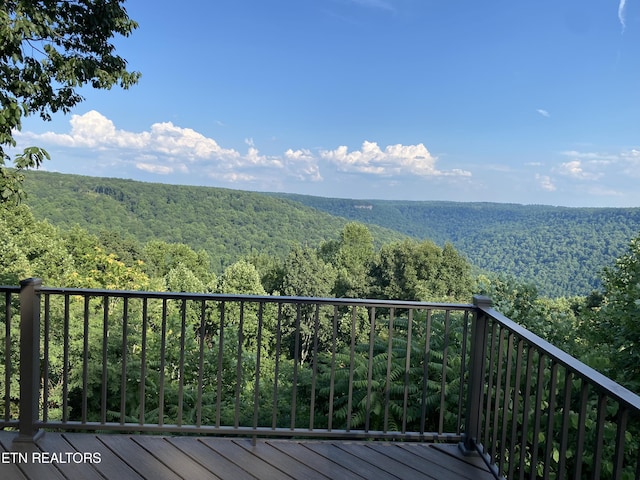 1001 Snicktaw Pl, Monterey, TN 38574 - photo 55