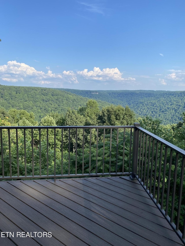 1001 Snicktaw Pl, Monterey, TN 38574 - photo 56