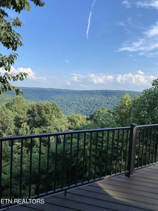 1001 Snicktaw Pl, Monterey, TN 38574 - photo 54