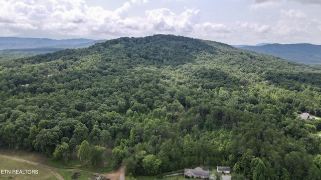 TRC.1 Mecca Pike, Tellico Plains, TN 37385 - photo 11