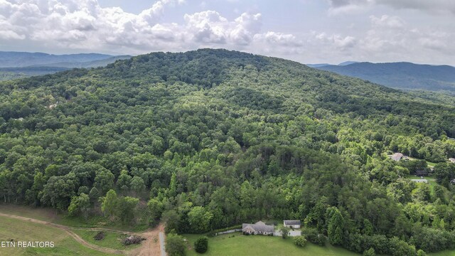 TRC.1 Mecca Pike, Tellico Plains, TN 37385 - photo 12